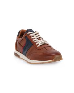 AMBITIUS 6328 COGNAC