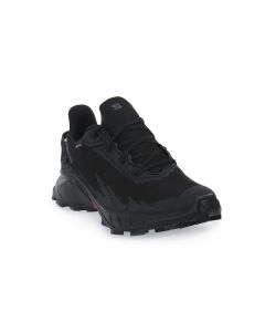 SALOMON ALPHACROSS 4 GTX W