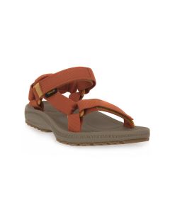 TEVA PCLY WINSTED W